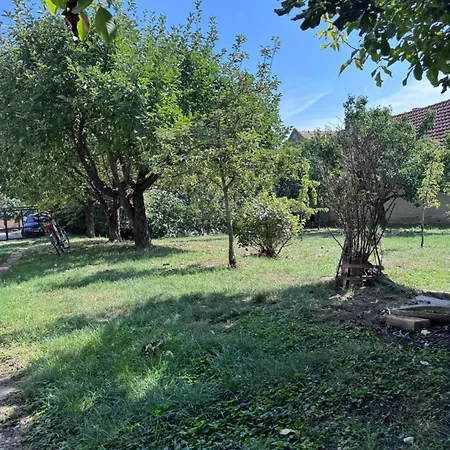 Vinarija Ljutica Winery Ljutica Luxusní stan