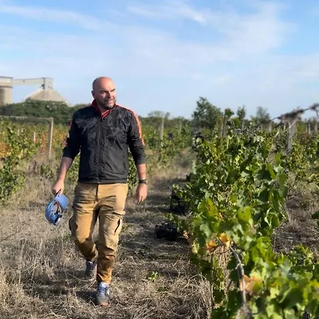 Luxusní stan Vinarija Ljutica Winery Ljutica *