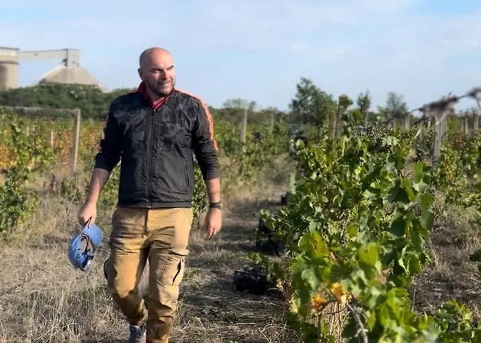 Luxuszelt Vinarija Ljutica Winery Ljutica *